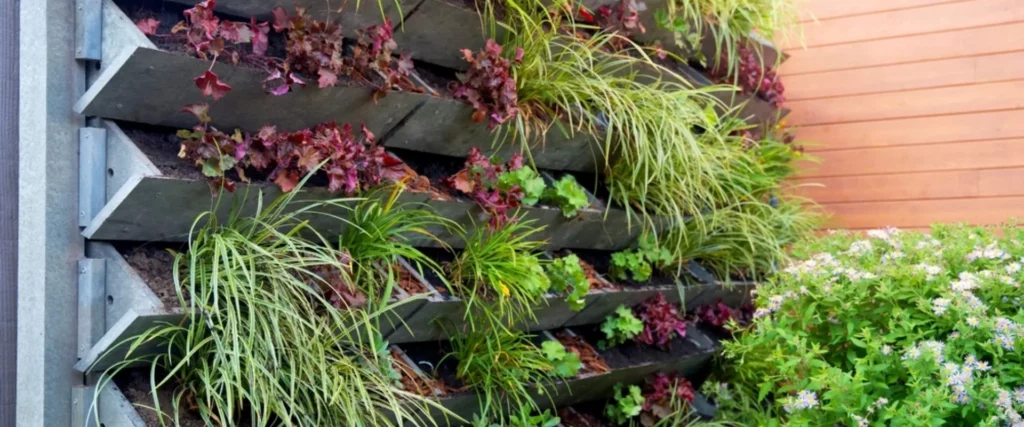 green walls, Luxury home exterior ideas